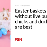 Easter baskets without live bunnies, chicks and ducklings are best