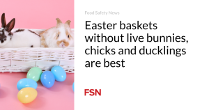 Easter baskets without live bunnies, chicks and ducklings are best