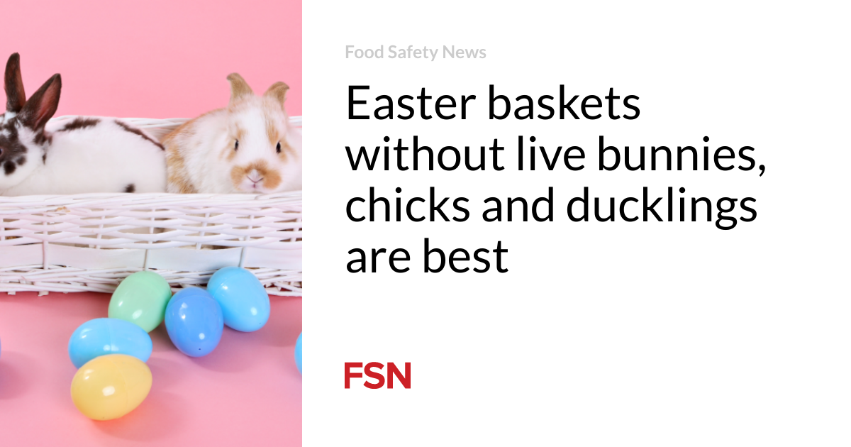 Easter baskets without live bunnies, chicks and ducklings are best