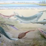 360-Million-Year-Old Fossils of Giant Predatory Fish Found in South Africa