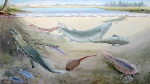 360-Million-Year-Old Fossils of Giant Predatory Fish Found in South Africa