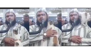 Cat Jumps on a Man Leading Prayer in Mosque Live on Air, Videos Goes Viral