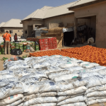 NEMA distributes Saudi King’s food items to 500 vulnerable households in Kano