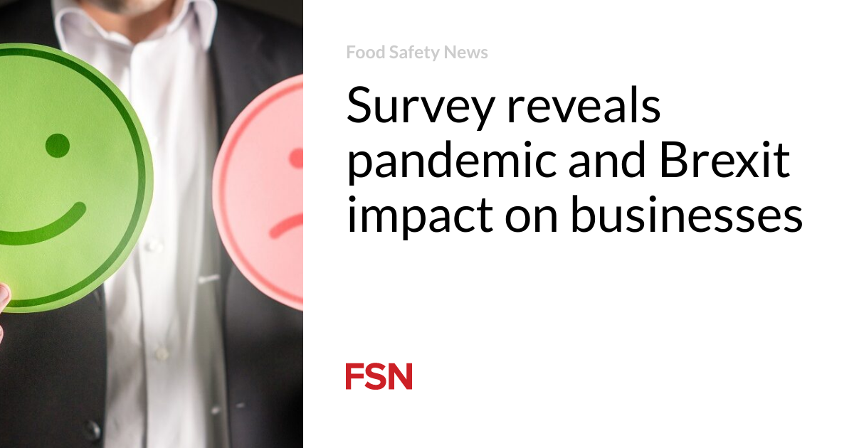 Survey reveals pandemic and Brexit impact on businesses