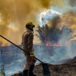 Indigenous Amazon forests absorb noxious fumes and prevent diseases from wildfires, study suggests