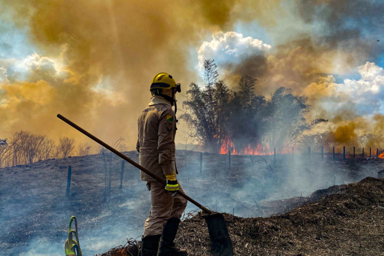 Indigenous Amazon forests absorb noxious fumes and prevent diseases from wildfires, study suggests