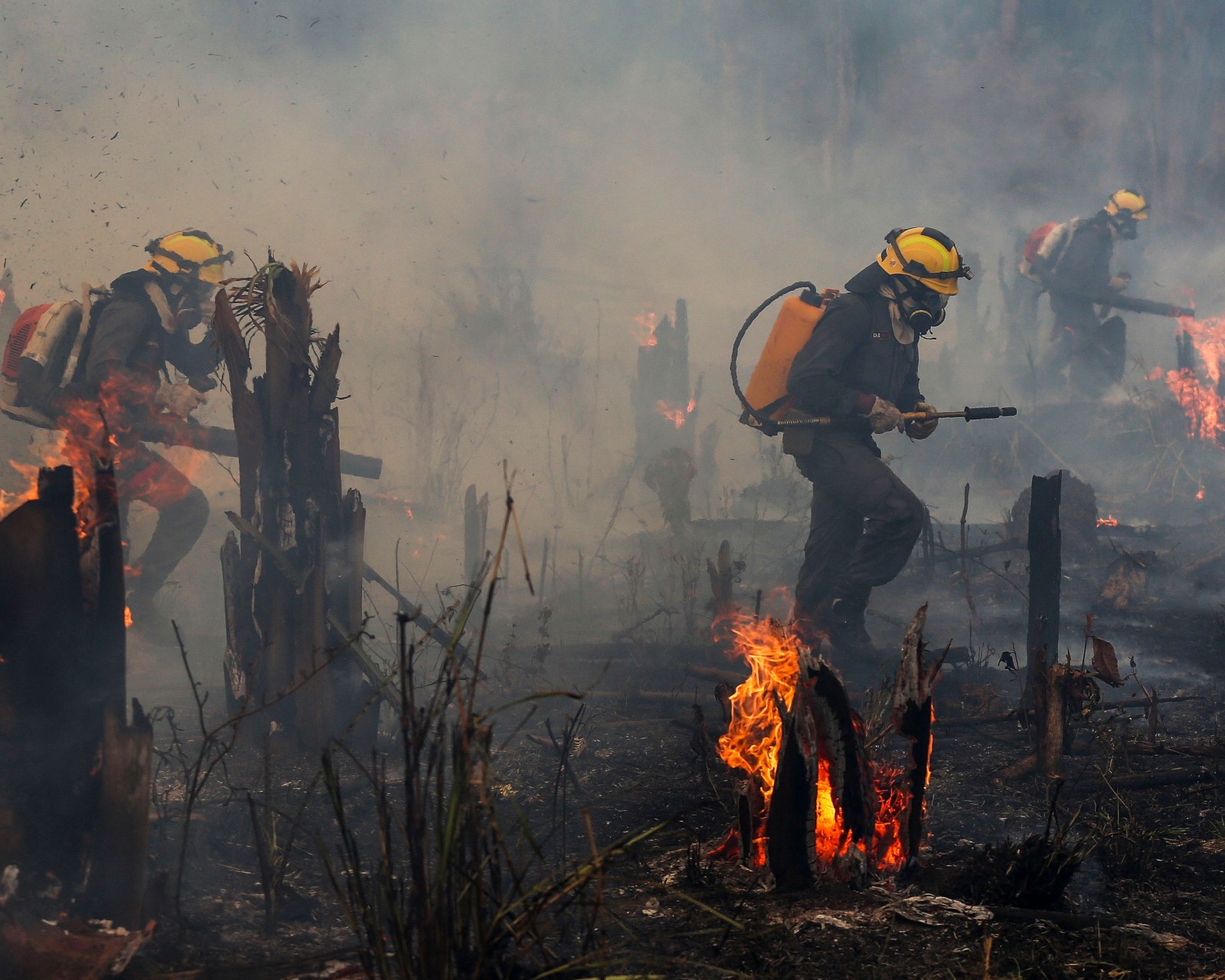 Want to protect your health? Start by protecting Indigenous land.