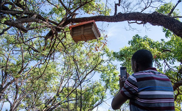 Zambia: History of Green Policies Shows Why Environment and Development Must Go Hand in Hand #AfricaClimateCrisis