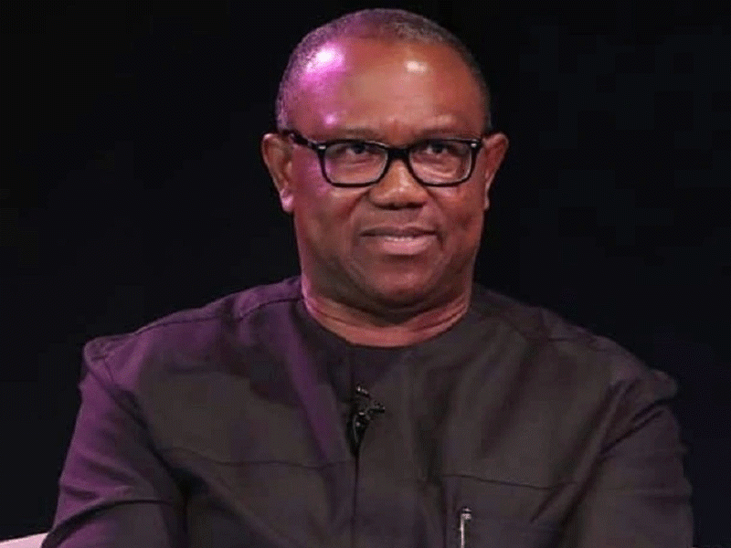 Immigration officers ‘harass, detain’ Peter  Obi in London