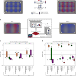 Contamination source modeling with SCRuB improves cancer phenotype prediction from microbiome data