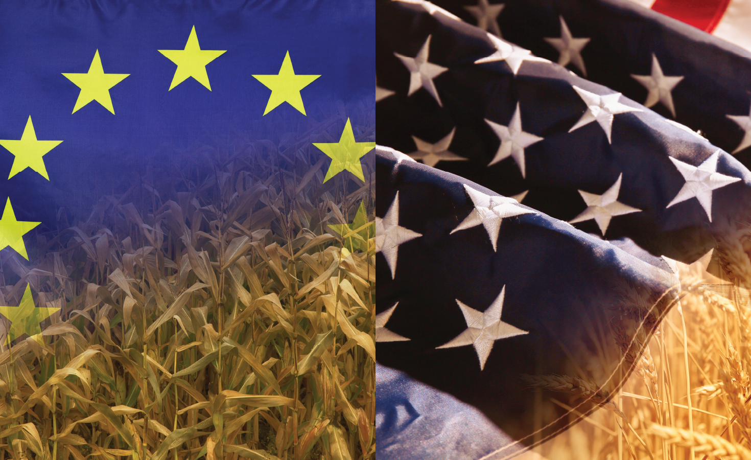 How does sustainable agriculture measure up in the EU and U.S.