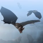 52-Million-Year-Old Fossils Identified as Oldest Known Bat Species