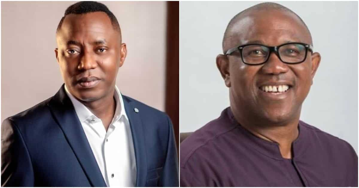 Sowore reacts to Peter Obi’s alleged arrest in London, reveals strong position