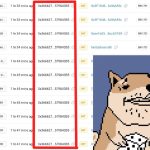 Is Blocky Doge the Latest NFT Rug Pull?