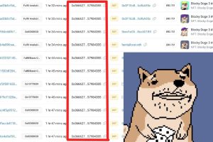 Is Blocky Doge the Latest NFT Rug Pull?