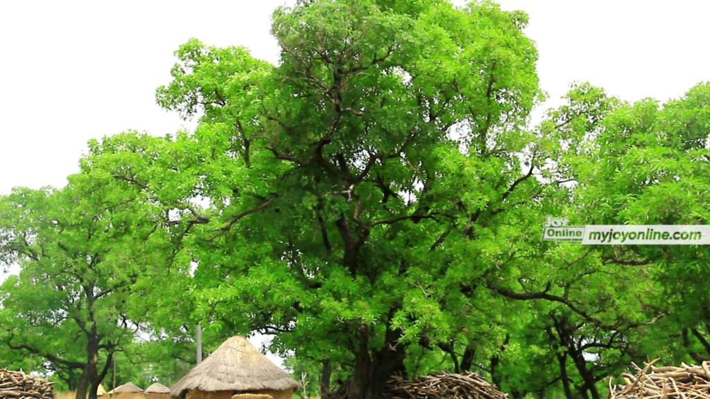 GSA signs agreement with AfDB to leverage over $1.3m to promote climate resilience in Togo and Burkina Faso