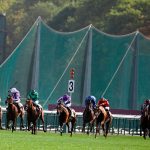 Unbeaten colt starts Classic campaign in Paris