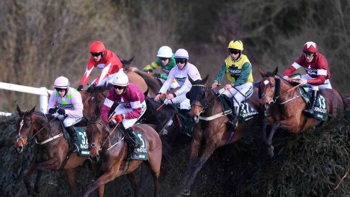 How To Bet On The Grand National Horse Race In Nebraska | NE Online Sports Betting