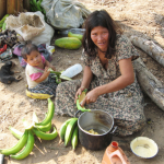 For clues to healthy brain aging, look to the Bolivian Amazon