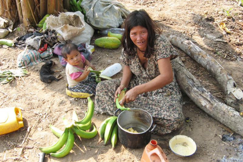 For clues to healthy brain aging, look to the Bolivian Amazon