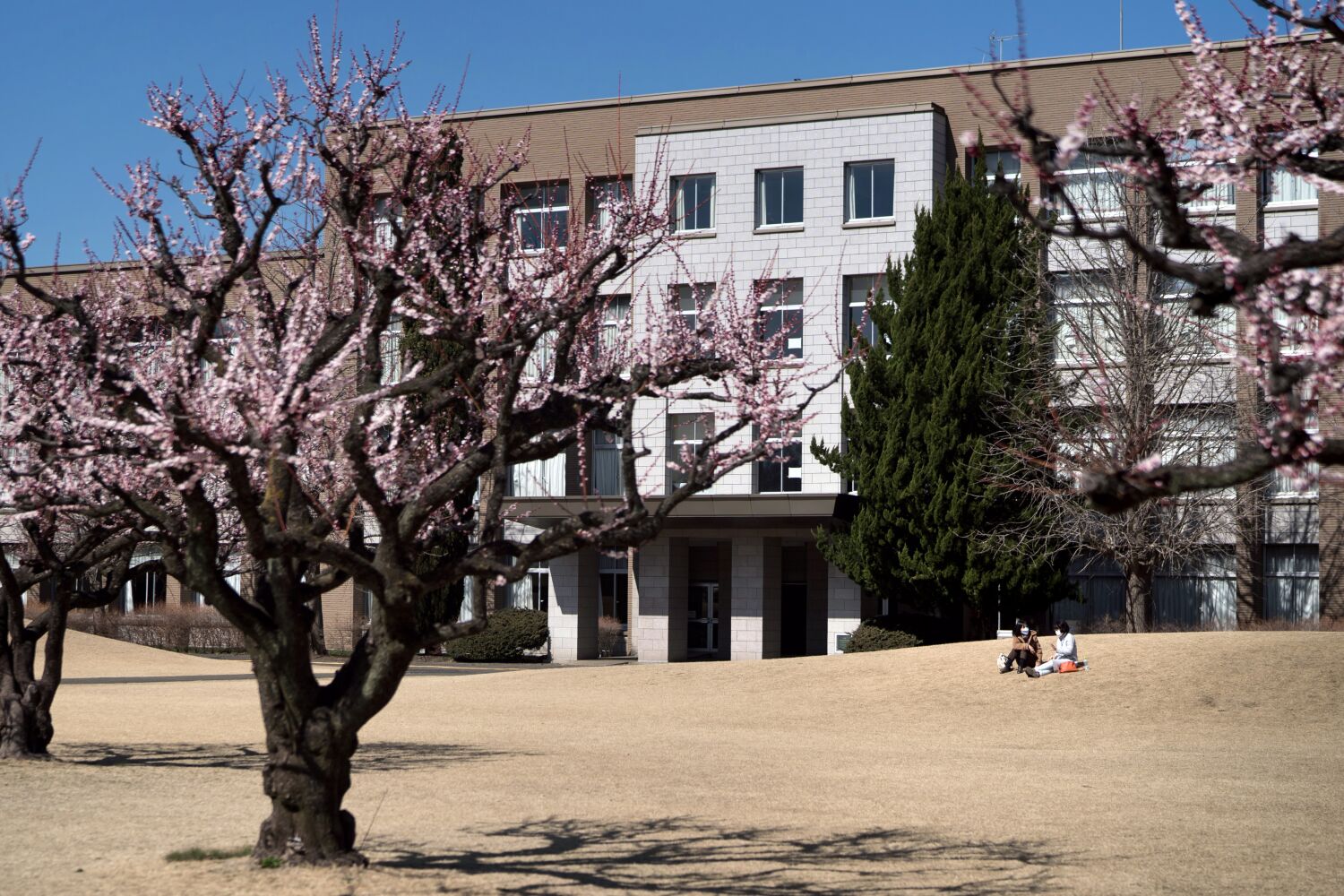 Japan’s plummeting university enrollment forecasts what could be ahead for the U.S.