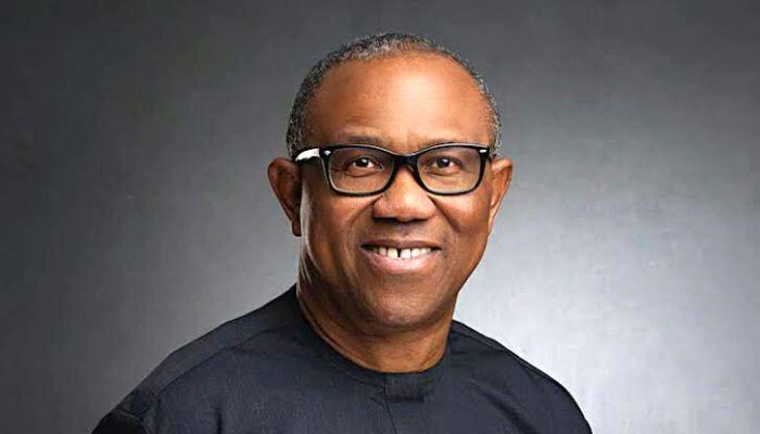 British immigration delay: APC impersonating Peter Obi in London – COSEYL