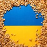 Ukraine Grain Import Bans Mount as Kyiv Seeks Transit Deal