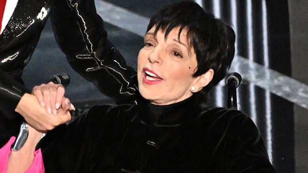 Liza Minnelli’s Health: How The Star, 77, Is Feeling After Battle With Encephalitis, Alcoholism, & More