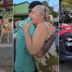 “Angels Really Do Exist”: Woman Who Rescued 600 Dogs from Harm Gets Luxury Car Gift, Video Melts Hearts