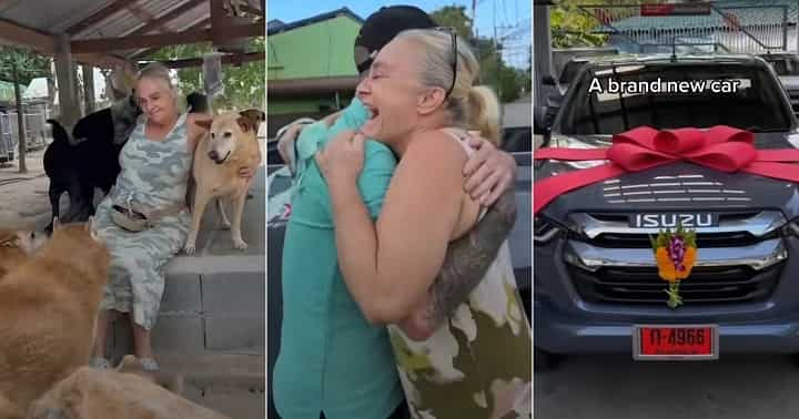 “Angels Really Do Exist”: Woman Who Rescued 600 Dogs from Harm Gets Luxury Car Gift, Video Melts Hearts