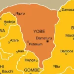 4 killed in Yobe auto crash