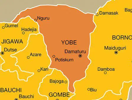 4 killed in Yobe auto crash