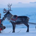 Sámi rights must not be sacrificed for green energy goals of Europe (commentary)