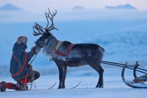 Sámi rights must not be sacrificed for green energy goals of Europe (commentary)