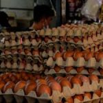 Salahuddin: Egg supply enough in East Coast for Aidilfitri