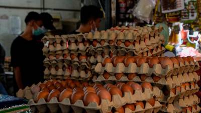 Salahuddin: Egg supply enough in East Coast for Aidilfitri