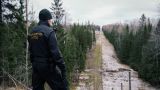 The new frontier: Finland bolsters its Russian border