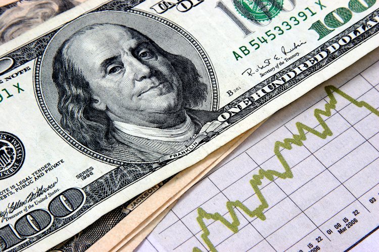 Forex Today: Dollar rises timidly on cautious markets