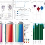 Quantification of absolute transcription factor binding affinities in the native chromatin context using BANC-seq