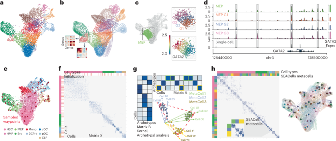 SEACells infers transcriptional and epigenomic cellular states from single-cell genomics data