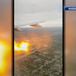 Bird strike causes engine fire and return to airport for American Airlines flight