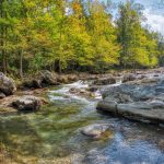 Water quality researcher develops public tool for diagnosing health of America’s streams