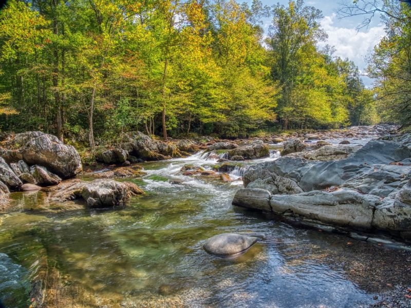 Water quality researcher develops public tool for diagnosing health of America’s streams