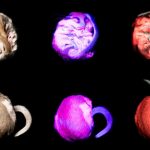 The garden dormouse glows under UV light