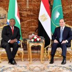 Egypt, South Africa discuss enhancing coordination on global economic issues