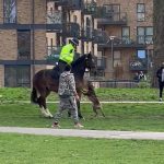 Police horse still recovering after being mauled in east London park