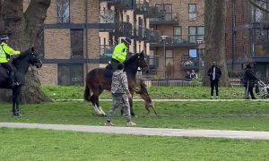 Police horse still recovering after being mauled in east London park