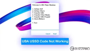 UBA Transfer Code Is Not Working – Causes and How to fix