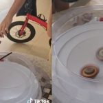 Let it rip: Kids play Beyblades at Yishun void deck, netizens digging the nostalgia, Lifestyle News