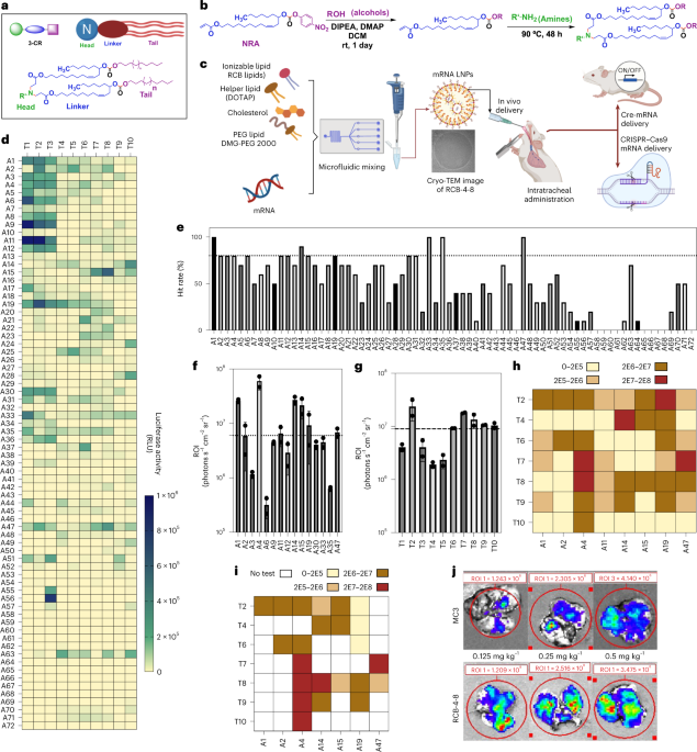 Combinatorial design of nanoparticles for pulmonary mRNA delivery and genome editing